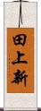 田上新 Scroll