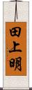 田上明 Scroll