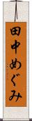 田中めぐみ Scroll