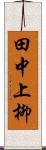 田中上柳 Scroll