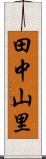 田中山里 Scroll