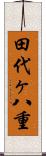 田代ヶ八重 Scroll
