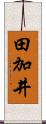 田加井 Scroll
