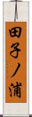 田子ノ浦 Scroll