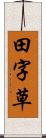 田字草 Scroll