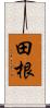 田根 Scroll