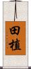 田植 Scroll