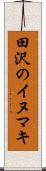 田沢のイヌマキ Scroll