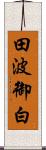 田波御白 Scroll