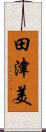 田津美 Scroll
