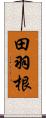 田羽根 Scroll