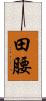 田腰 Scroll
