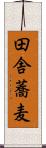 田舎蕎麦 Scroll