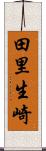 田里生崎 Scroll