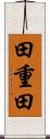 田重田 Scroll