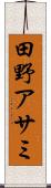 田野アサミ Scroll