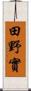 田野實 Scroll