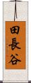 田長谷 Scroll