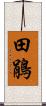 田鵑 Scroll