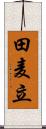 田麦立 Scroll