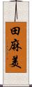 田麻美 Scroll