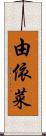 由依菜 Scroll