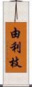 由利枝 Scroll