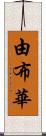 由布華 Scroll