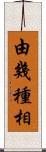 由幾種相 Scroll