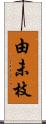 由未枝 Scroll