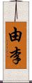 由李 Scroll