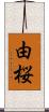 由桜 Scroll