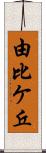 由比ケ丘 Scroll