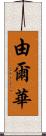 由爾華 Scroll