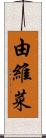 由維菜 Scroll