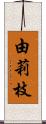 由莉枝 Scroll