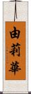 由莉華 Scroll