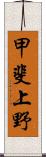 甲斐上野 Scroll