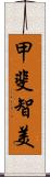 甲斐智美 Scroll