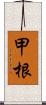 甲根 Scroll