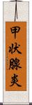 甲状腺炎 Scroll