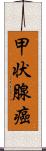 甲状腺癌 Scroll