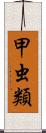 甲虫類 Scroll