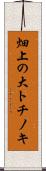 畑上の大トチノキ Scroll
