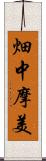 畑中摩美 Scroll