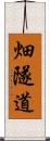 畑隧道 Scroll