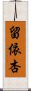 留依杏 Scroll