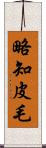 略知皮毛 Scroll