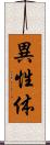 異性体 Scroll