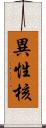 異性核 Scroll